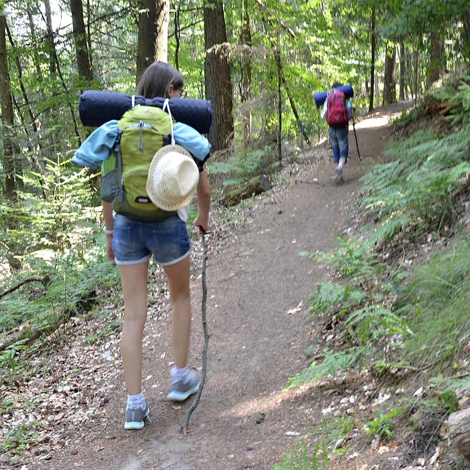 Wandern Auf Dem Pfälzerwald